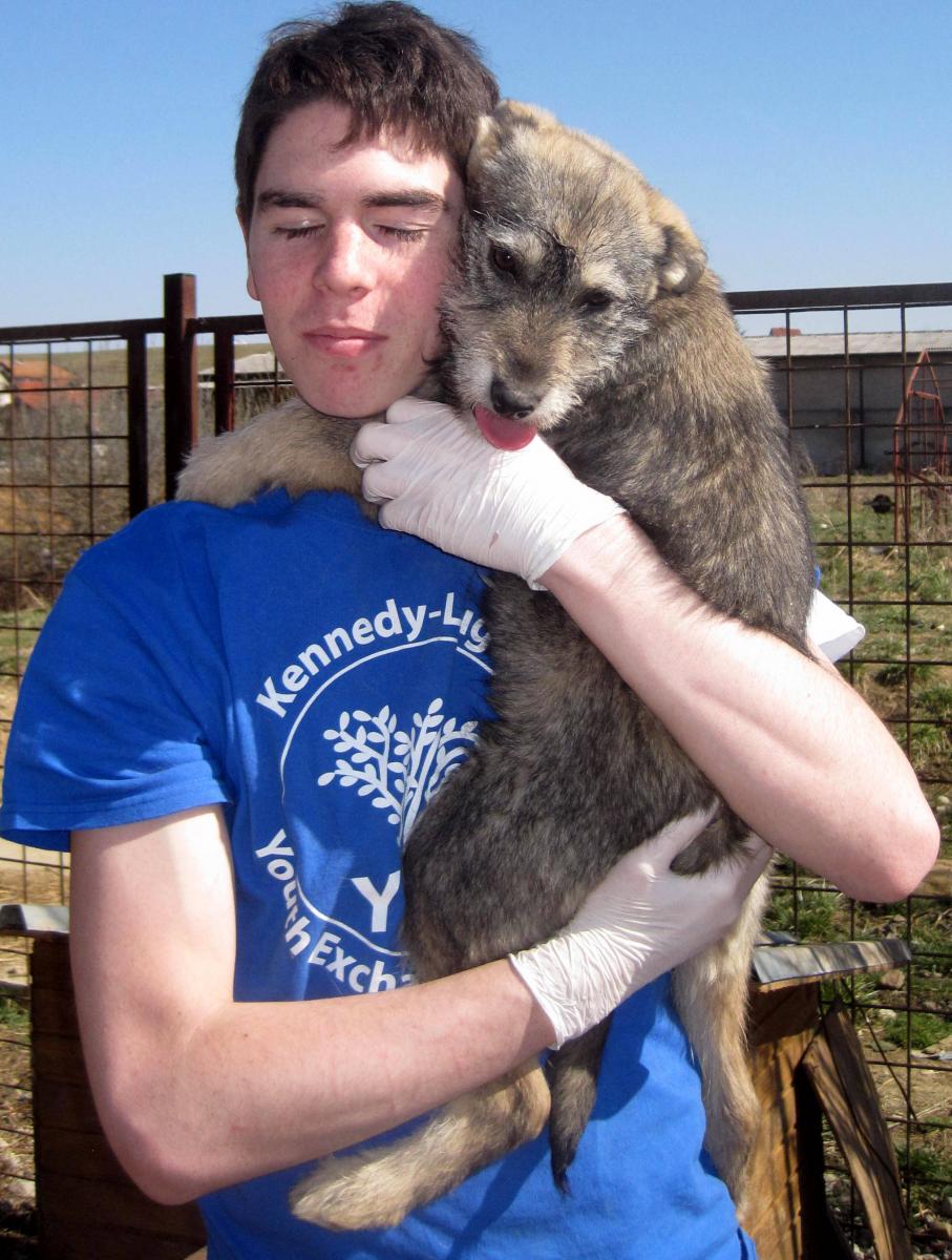 YES Abroad participant, Dan, shows some GYSD love to a stray pup.