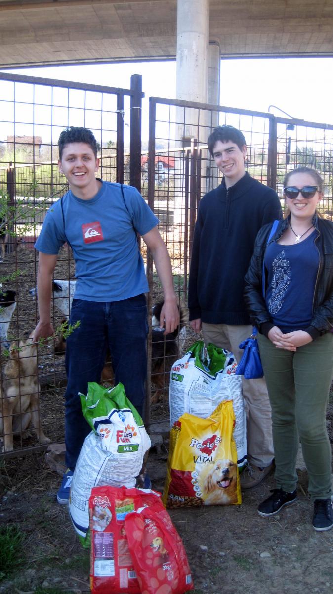 YES Inbound Alumni Coordinator Nino (left) and YES Abroad participants Dan and Rachael deliver food and supplies for the pups.