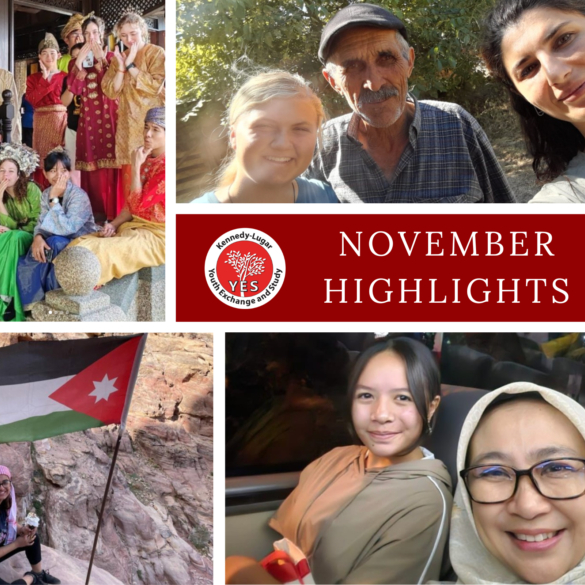 November Instagram Highlights