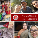 November 2024 IG Highlights