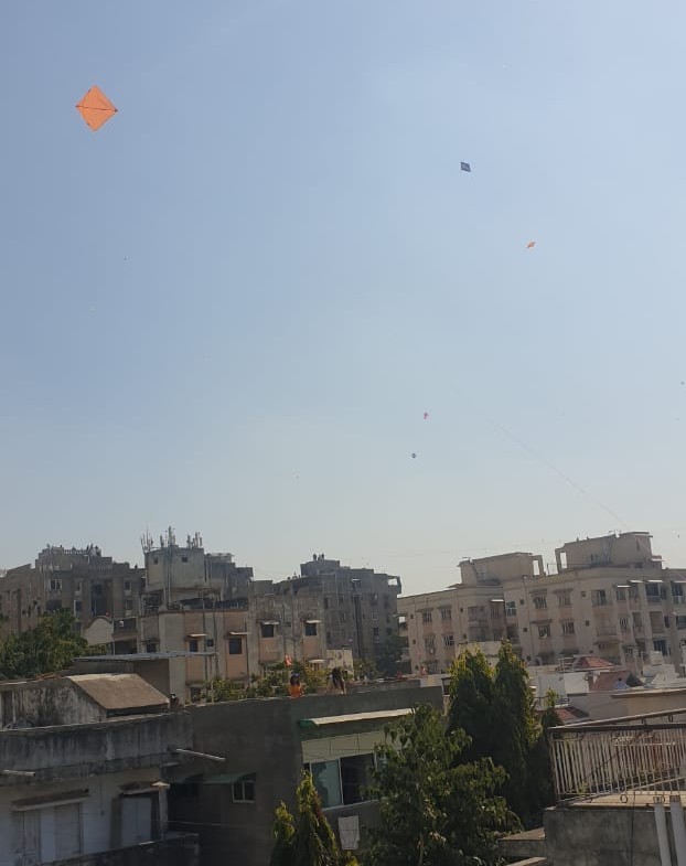 Ghozeil Lydia Kite Flying 3 1