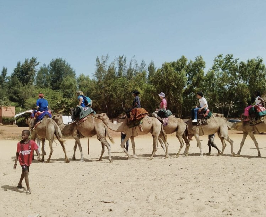 YES Abroad students riding on camels in Senegal