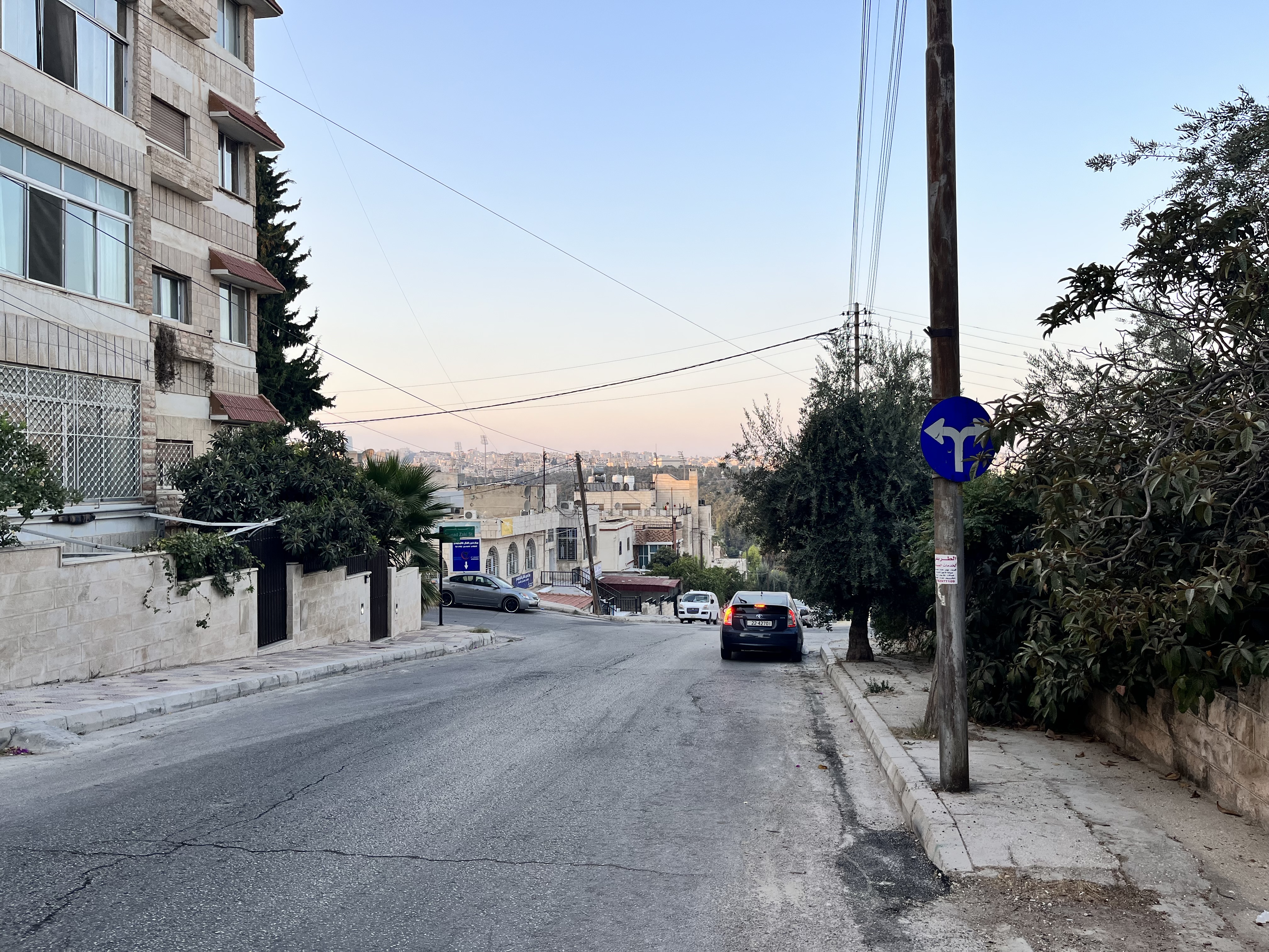 Street In Amman At Dusk